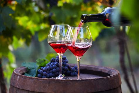 The 13 Best French Wines To Drink In 2021 In 2021 Red Wine Wine