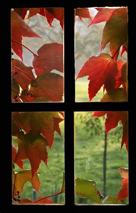 Energy Windows That Closes And Opens Depending On The Weather Autumn