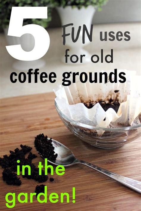 If you find them in your home, sprinkle some grounds there. 5 Fun Ways to Use Coffee Grounds in the Garden | The Creek ...