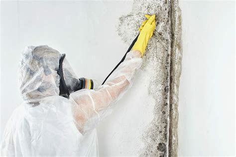 Spray Foam Insulation And Mold A Complete Guide Sci