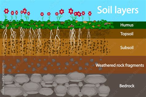 Layers Of Soil Diagram
