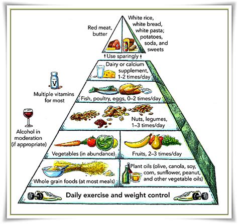Peak Healthy Tips Latest Food Pyramid