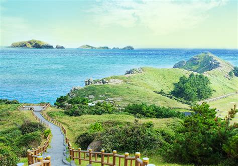 Kamu juga bisa menyaksikan keindahan hamparan. Pulau Jeju - Festival Bunga Lotus di Jeju (1 Juli - 30 ...