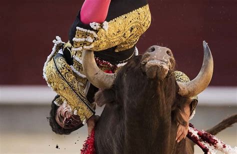 西班牙斗牛士被牛角挑到空中刺中脖子 满脸鲜血 高清组图公牛斗牛士凤凰资讯
