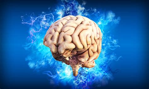 Brain Imaging Study Looks Into CBD's Antipsychotic Effects - The Fresh 