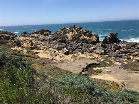 Salt point state park is a state park in sonoma county, california, united states. Best Trails in Salt Point State Park - California | AllTrails