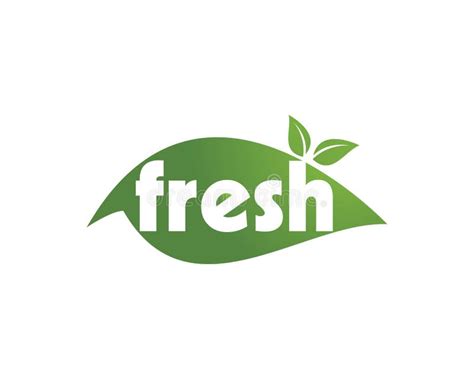 Fresh Logo Vector Stock Vector Illustration Of Vegetarian 121375962