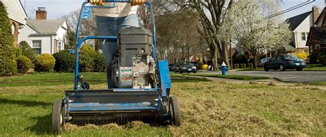Lawn dethatching can be crucial to keeping your grass and soil healthy. Why, When and How to Dethatch Your Lawn