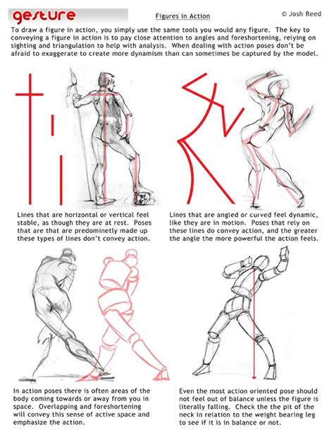 Drawsh Gesture Anatomy Tutorial Human Figure Drawing Figure
