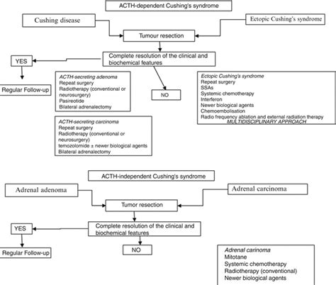 Cushings Syndrome Oncohema Key