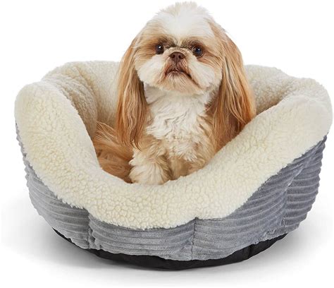 The Best Calming Dog Beds 2023 Buyers Guide Au