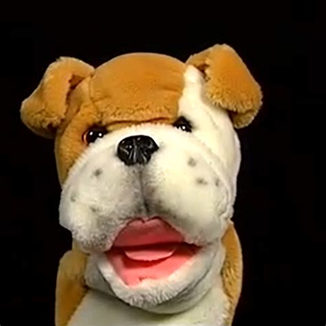 Bulldog Puppet The True Baby Einstein Wiki Fandom