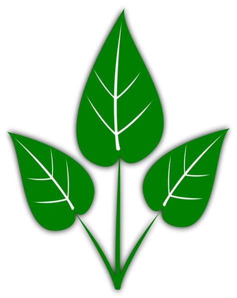 Green Leaves Clip Art