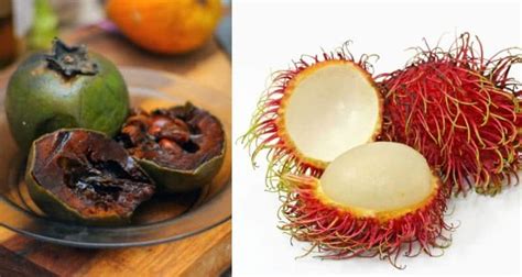 10 Weird And Wonderful Exotic Fruits You Need To Try