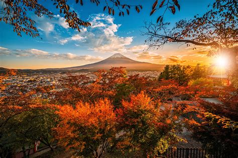 壁紙、秋、山、空、富士山、日本、木、雲、火山、自然、ダウンロード、写真