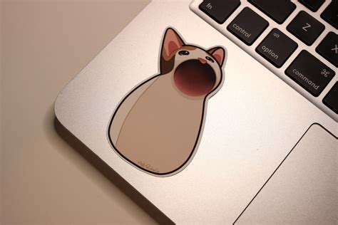 Pop Cat Matte Stickers Weatherproof Funny Popcat Internet Etsy