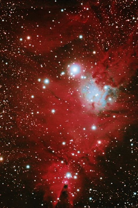 Ngc 2264 Fox Fur Nebula Incorporating The Cone And Christmas Tree