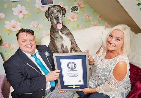 Freddy The Worlds Tallest Dog Dies Aged 8 Guinness World Records
