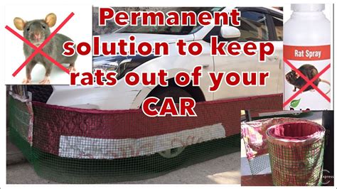 Car Rat Fencing Best Ways To Keep Rats And Mice Out Of Your Car How To Protect Car From Rats