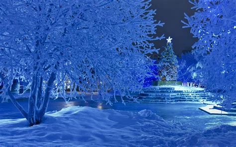 Winter Night At Christmas Time Hd Wallpaper Background