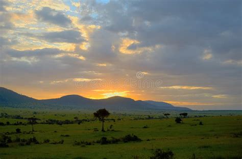 Beautiful Sunrise Or Sunset In African Savanna With Acacia Tree Masai