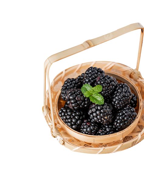 Blackberry Fresh Fruit Food Still Life Posing Blackberries Fruit