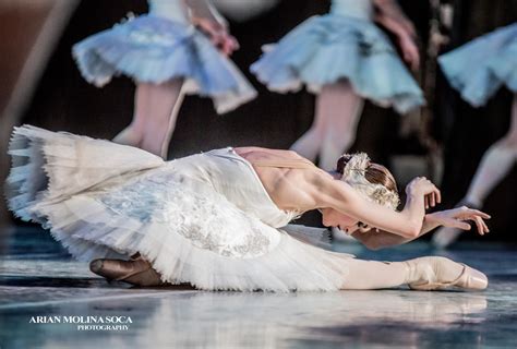 Academy Of Music Backstage Pennsylvania Ballet Paballet Swan