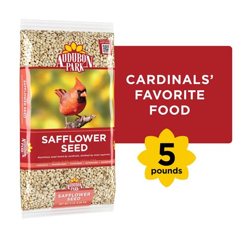 Audubon Park Safflower Seed Wild Bird Food, Dry, 5 lb. Bag - Walmart.com