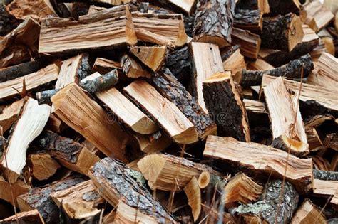 Pile Of Split Firewood Fuel Preparation Stock Image Image Of Texture