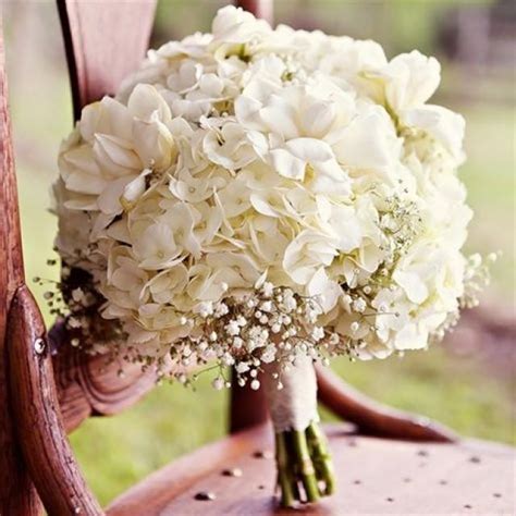 bouquet flower white hydrangea bridal bouquet 2369043 weddbook