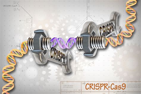 Gene Drive Focus Biologie Synthétique