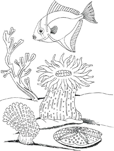 Underwater Coloring Pages To Print At Getcolorings Free Printable 69225