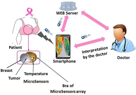 Steps Diagram For Early Breast Cancer Detection Download Scientific Diagram