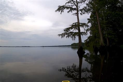 Reelfoot Lake Fishing Best Packages Spots And More Lake Access