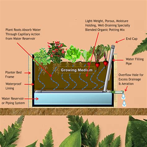 Self Watering Sub Irrigated Planter Sip Technique Greenupmyspaces