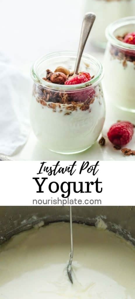 Instant Pot Yogurt Nourish Plate