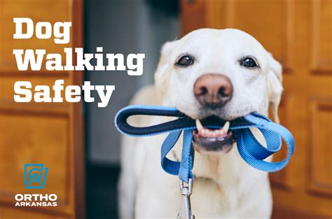 Preventing Injuries While Walking The Dog — Orthoarkansas