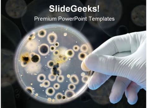 Keywords bacterial structure health particles bacteria bacilli germs microbe organism pathogen microscopic disease science medical. Bacteria Science PowerPoint Template 0610 | Gloved Hand ...