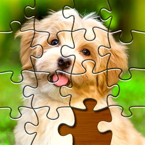 Jigsaw Puzzles Pro Jigsaw Puzzles Free For Adults On Kindle Fire