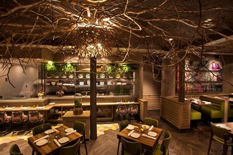 Nature Inspired Restaurant With Tree Branch Ceiling 2015 Fresh Faces