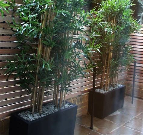 Best Artificial Bamboo Plants Perfect For Outdoor Privacy Screens