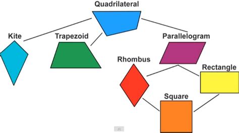 Quadrilaterals Diagram Quizlet
