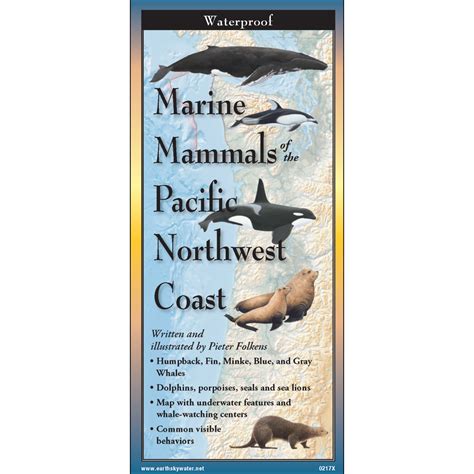 Pacific Northwest :: Pacific Northwest Field Guides :: Marine Mammals of the Pacific Northwest ...