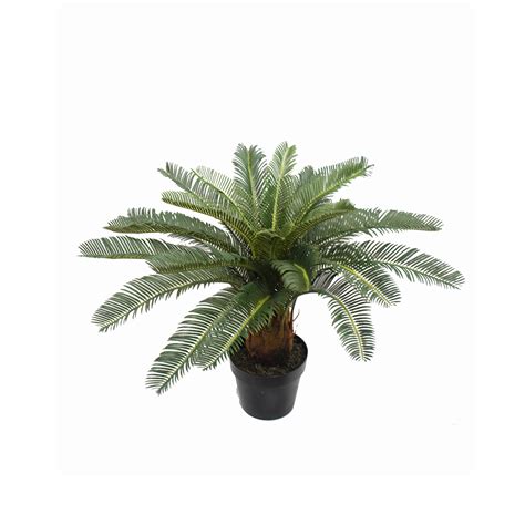 (gci) is a privately held and operated, wholesale flavor and color manufacturer that has been satisfying taste since 1985. CYCAD PALM 60CM UV STABILISED | Artificial Plants Online