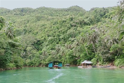 Private Day Trip From Cebu To Bohol With Chocolate Hills Loboc