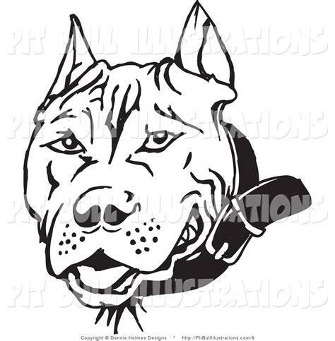 Angry bull head colouring page. Free Pit Bull Clipart, Download Free Clip Art, Free Clip ...