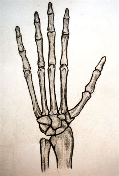 Skeleton Hand Tattoo Drawing Step By Step 20 Ideas De Tatuaje De Mano