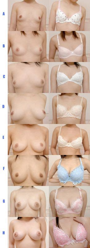 Visual Breast Cup Size Comparison Cumception