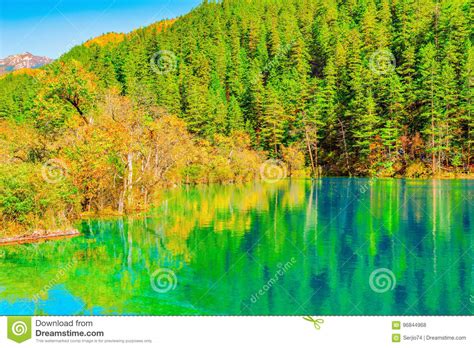 View Of Panda Lake At Autumn Sunset Time Stock Photo Image Of Plant
