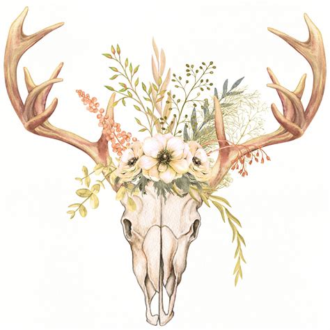 Deer Antlers Drawing With Flowers Flyawaylaxtovannuys
